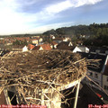 08_30-nest.jpg