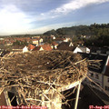08_35-nest.jpg