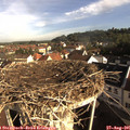08_40-nest.jpg