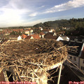 08_45-nest.jpg