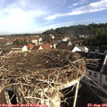 08_50-nest.jpg