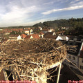 08_55-nest.jpg
