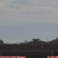 09_00-mast.jpg