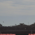 09_05-mast.jpg