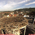 09_05-nest.jpg