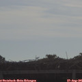 09_10-mast.jpg