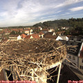 09_10-nest.jpg