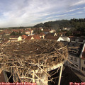 09_15-nest.jpg