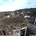 09_20-nest.jpg