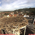 09_25-nest.jpg