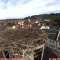 09_30-nest.jpg