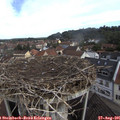09_35-nest.jpg