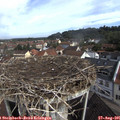 09_40-nest.jpg