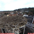 09_45-nest.jpg