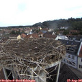 09_50-nest.jpg