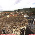 09_55-nest.jpg