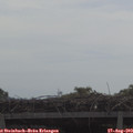 10_00-mast.jpg