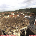 10_00-nest.jpg