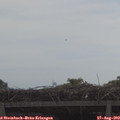 10_05-mast.jpg