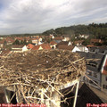 10_05-nest.jpg