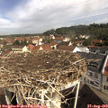 10_10-nest.jpg