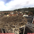 10_15-nest.jpg