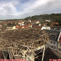 10_20-nest.jpg
