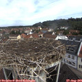 10_25-nest.jpg