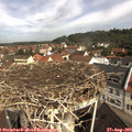 10_30-nest.jpg