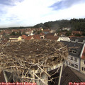 10_45-nest.jpg