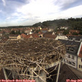 10_50-nest.jpg
