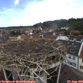 10_55-nest.jpg