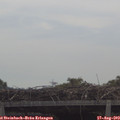 11_00-mast.jpg