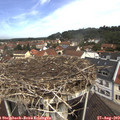 11_00-nest.jpg
