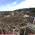 11_05-nest.jpg