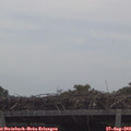 11_10-mast.jpg