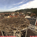11_10-nest.jpg