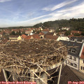 11_15-nest.jpg