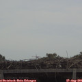 11_25-mast.jpg