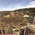 11_25-nest.jpg