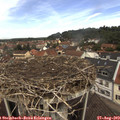 11_35-nest.jpg