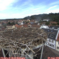 11_40-nest.jpg