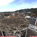 11_45-nest.jpg