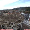 11_55-nest.jpg