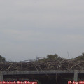12_05-mast.jpg