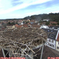 12_05-nest.jpg