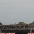 12_15-mast.jpg