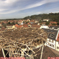 12_15-nest.jpg