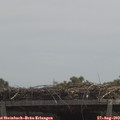 12_20-mast.jpg