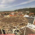 12_20-nest.jpg